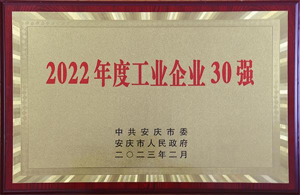 安庆市2022年度工业企业30强